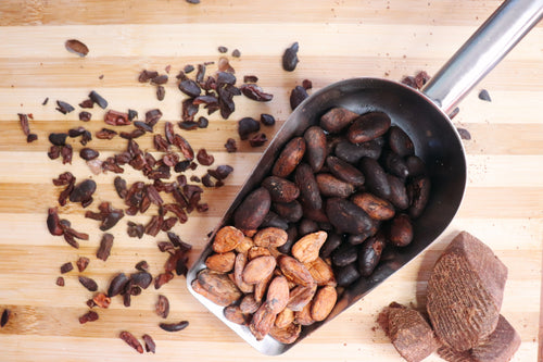 Bicol Cacao: A Rising Star on the Global Stage