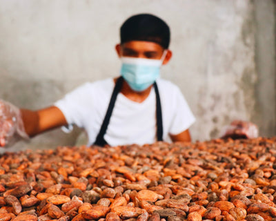 Alea Chocolates Speaks at the Regional Launch: Empowering Farmers Through Cacao Branding and Business Growth