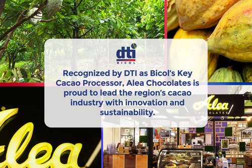Alea Chocolates Named Bicol’s Key Cacao Processor by DTI – A Milestone for Philippine Cacao Excellence