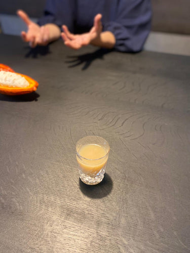 When Worlds of Cacao Meet: Alea Chocolates’ Eileen Kae Relao Visits CACAOGOTO’s Yukari Nakano