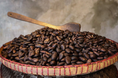 DA and DTI Designate Alea Chocolates as Bicol’s Key Cacao Processor—Propelling Bicol Cacao Toward Global Prominence