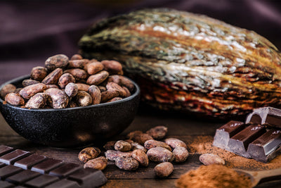 From Farm to Cake: How Alea Chocolates Uses Its Own Cacao for Premium Baking